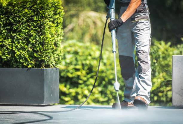 Best Animal Enclosure Cleaning  in Mountain View Acres, CA