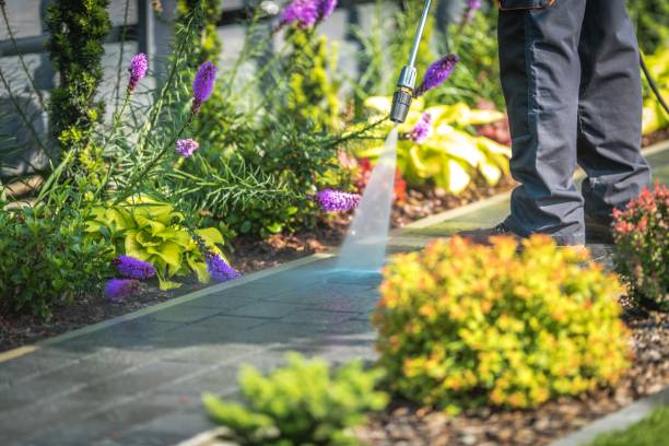 Best Restaurant Pressure Washing  in Mountain View Acres, CA