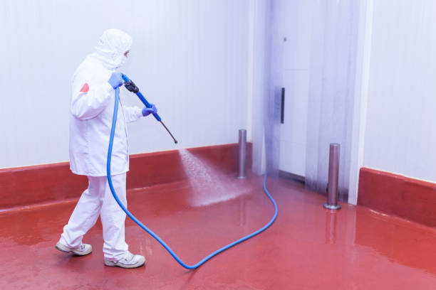 Best Dumpster Area Cleaning  in Mountain View Acres, CA